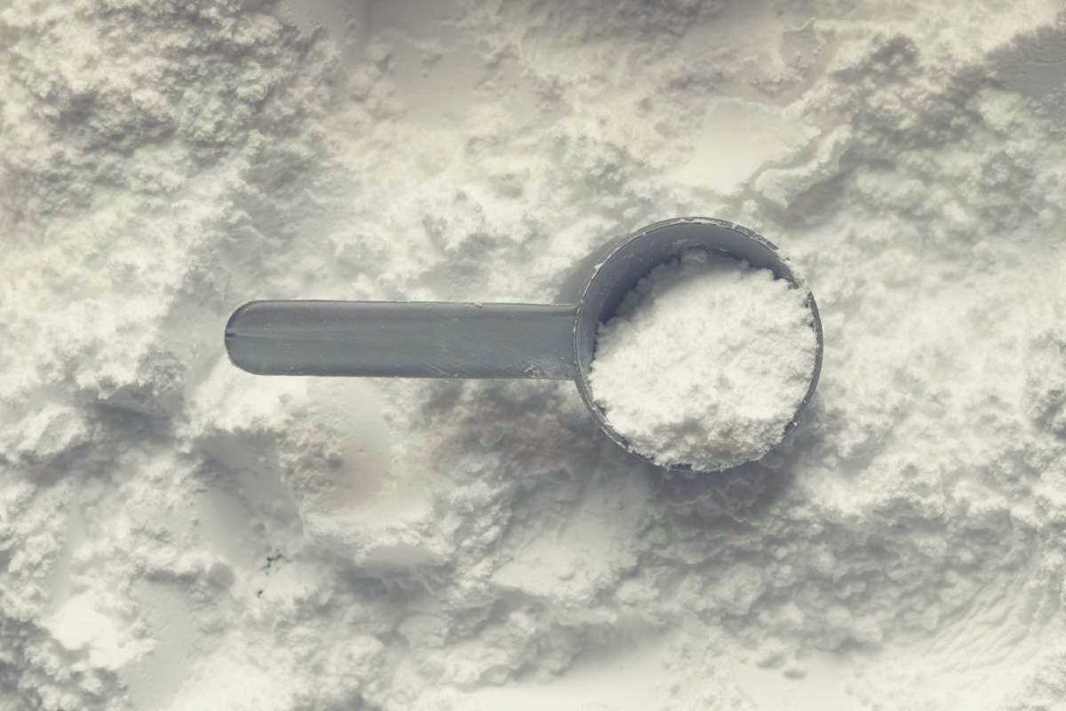 A scoop sitting in a pile of protein powder