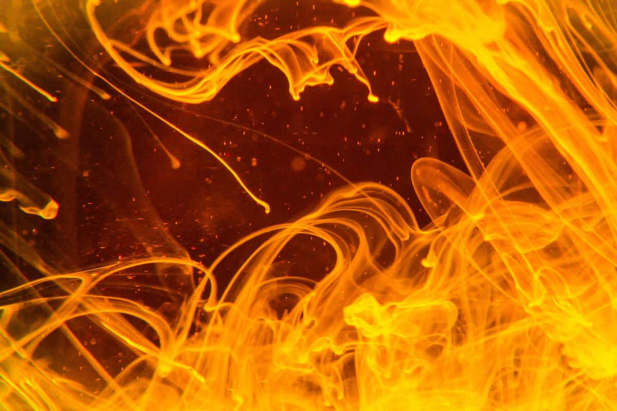a close up picture of orange flames swirling.